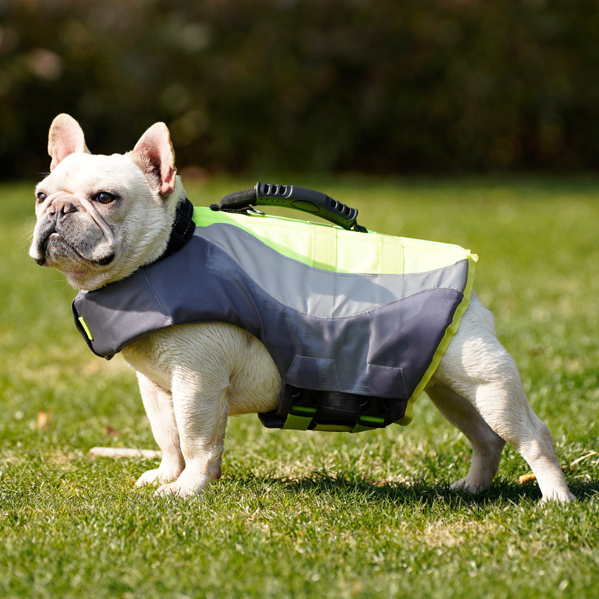 New Reflective Pet Dog Jacket