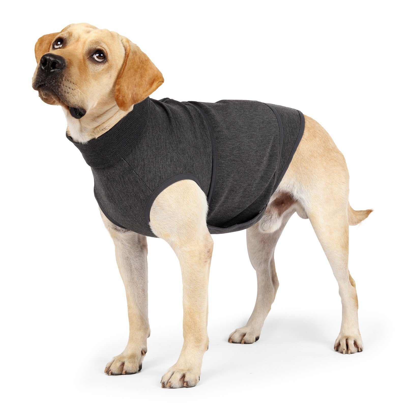 Pet Cotton Double Jacket Clothes