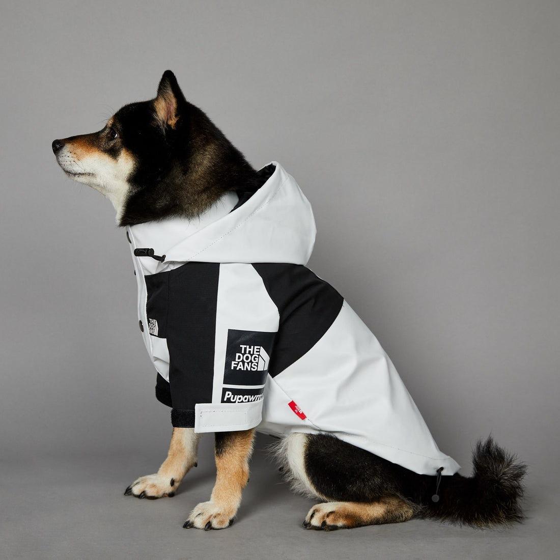 Windproof And Rainproof Large Dog Jacket