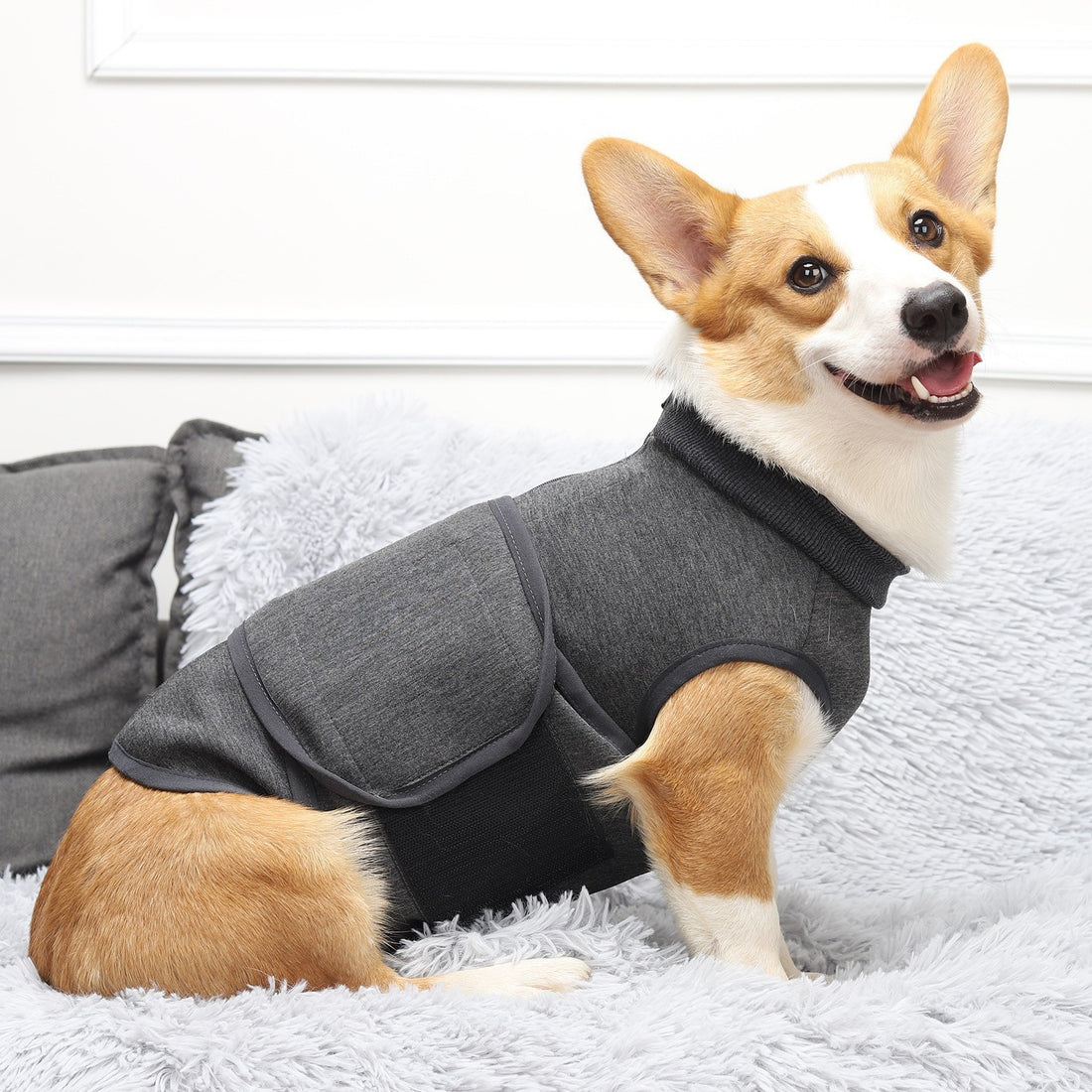 Pet Cotton Double Jacket Clothes