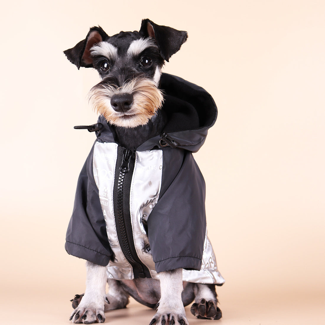 Dog Poker Jacket