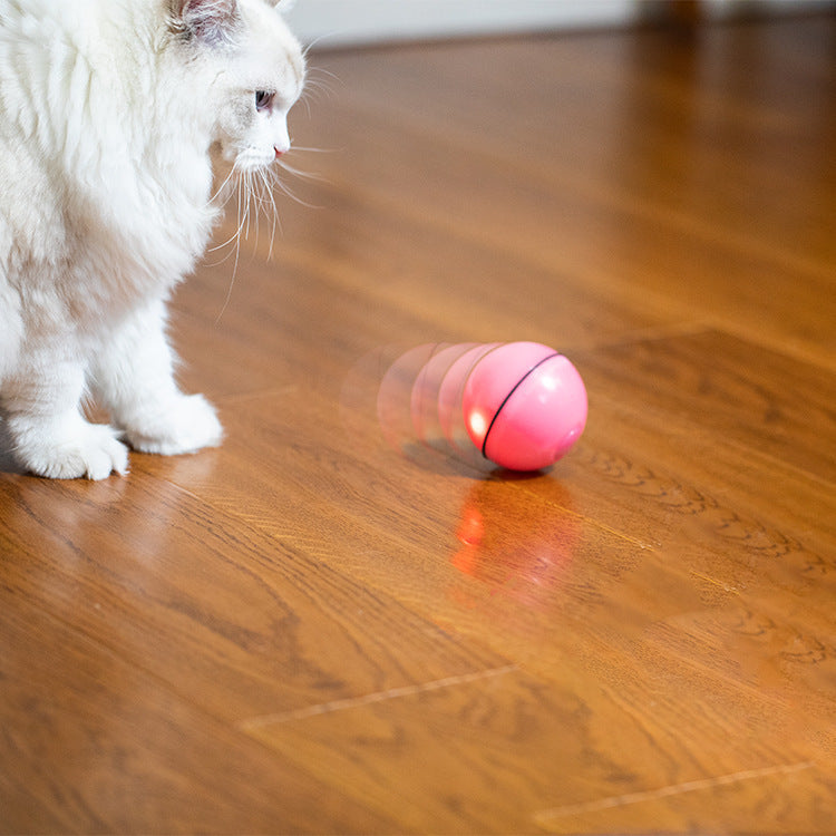 USB laser funny cat toy