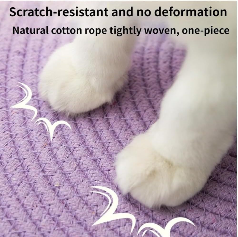 Scratch Cat Bed For Indoor Cat