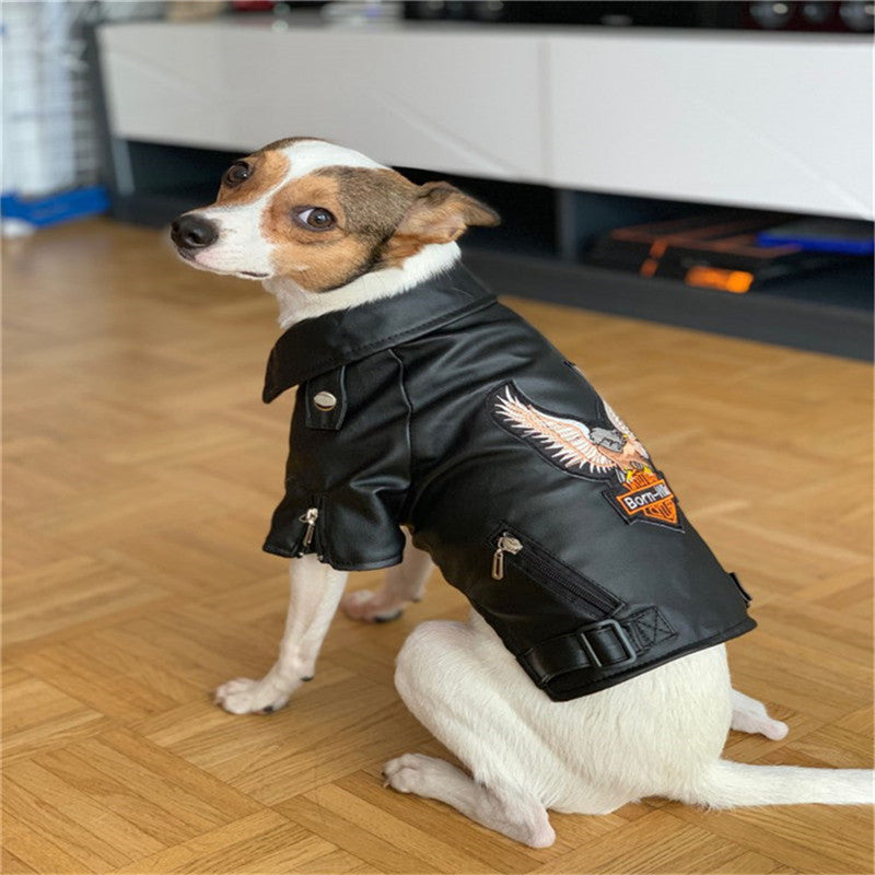 Pet Embroidered Eagle Leather Jacket