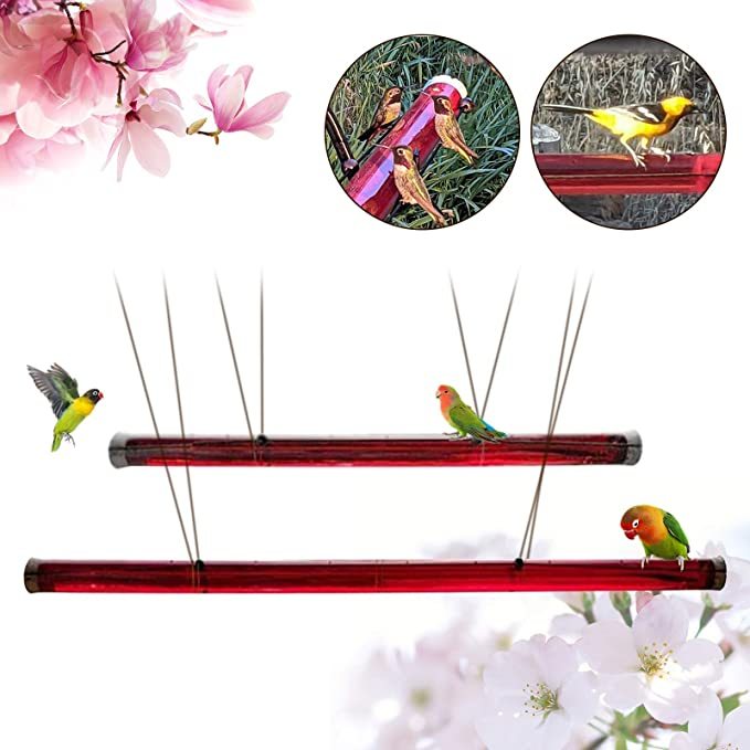 Long Tube Red Bird Hanging Feeder