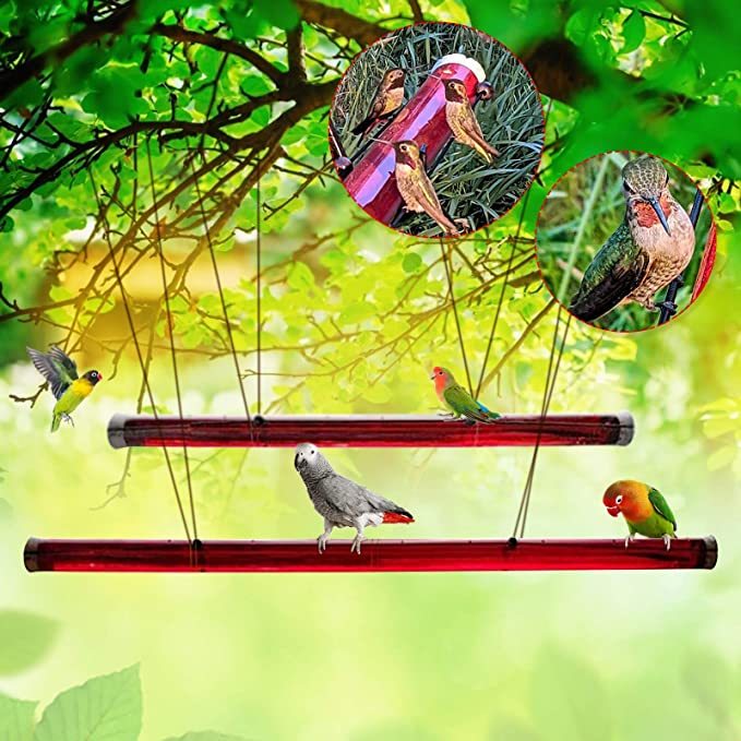 Long Tube Red Bird Hanging Feeder