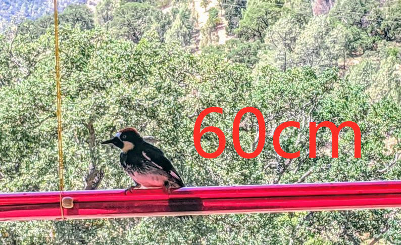 Long Tube Red Bird Hanging Feeder