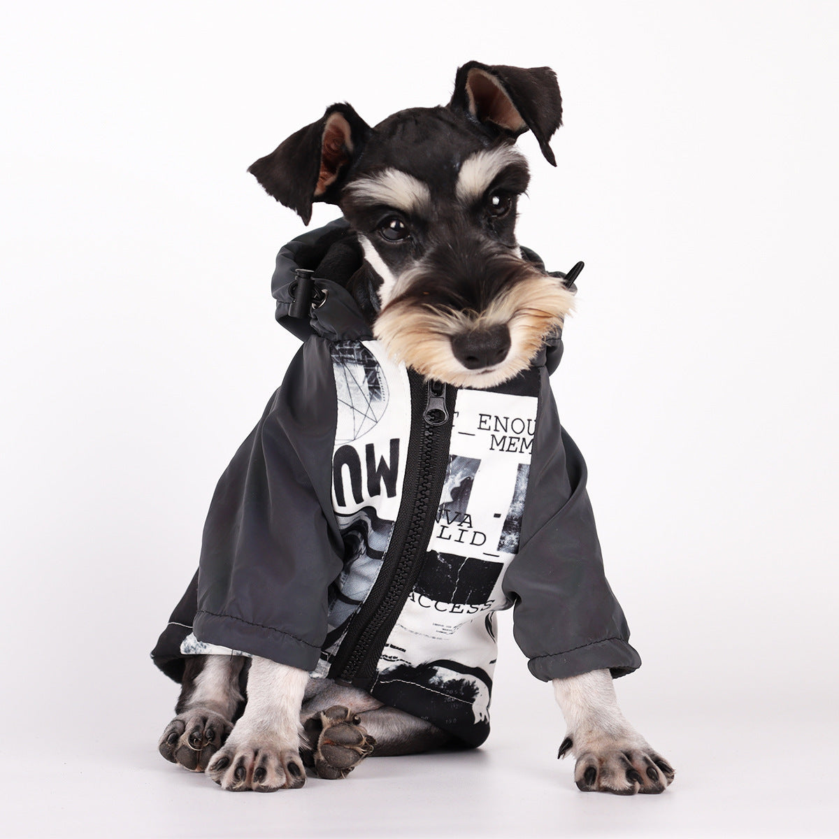 Dog Poker Jacket