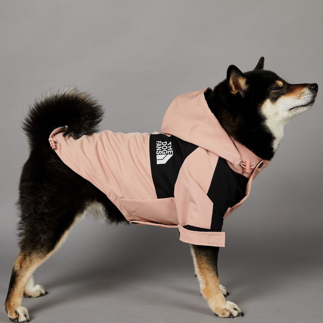 Windproof Large Pet Shell Jacket