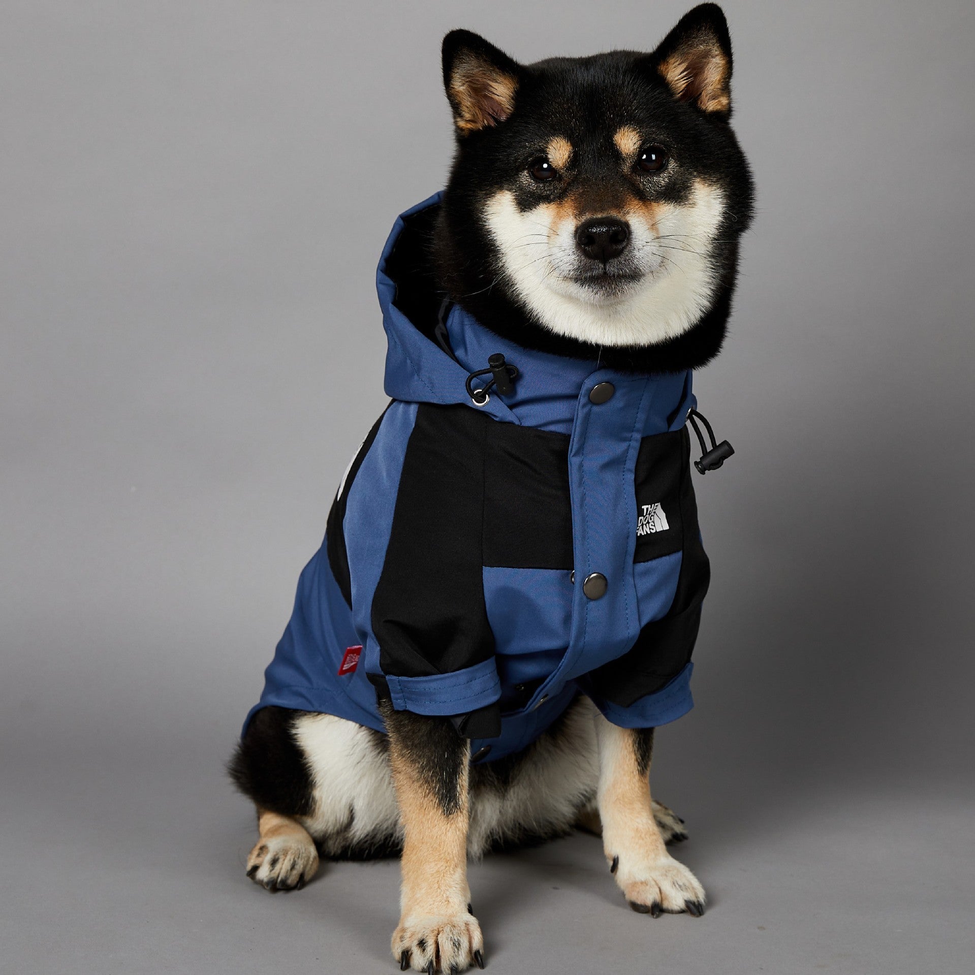 Windproof Pet Shell Jacket