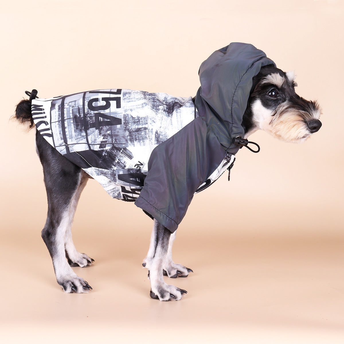 Dog Poker Jacket