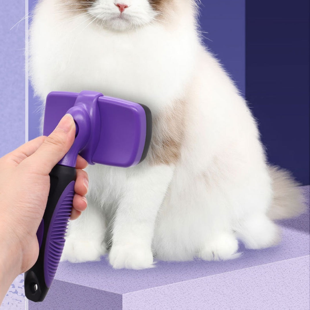 Pet Specific Plastic Comb Brush