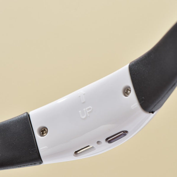 Pet Cat Toy Laser Collar Leash