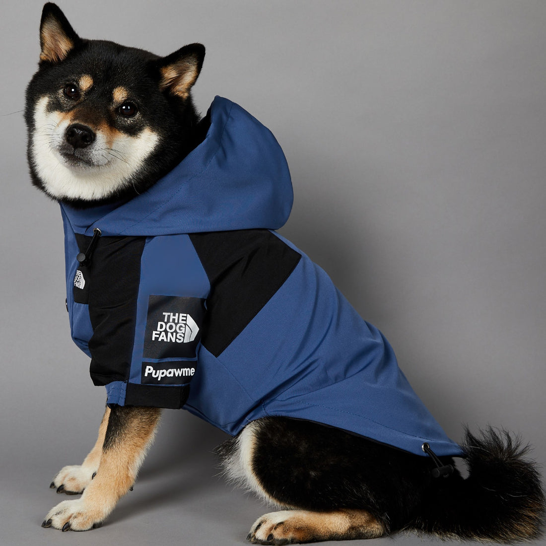 Windproof Pet Shell Jacket