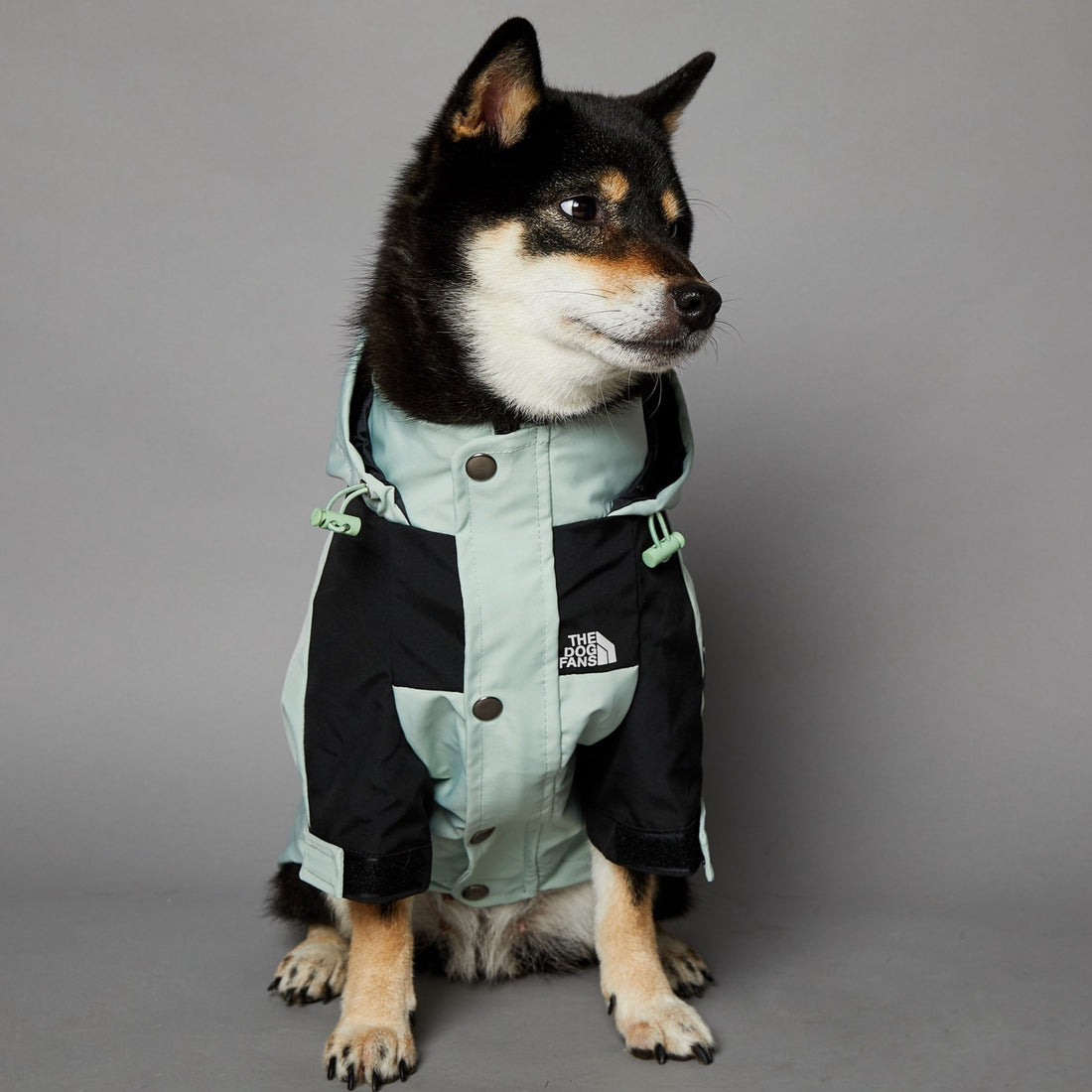 Windproof And Rainproof Large Dog Jacket