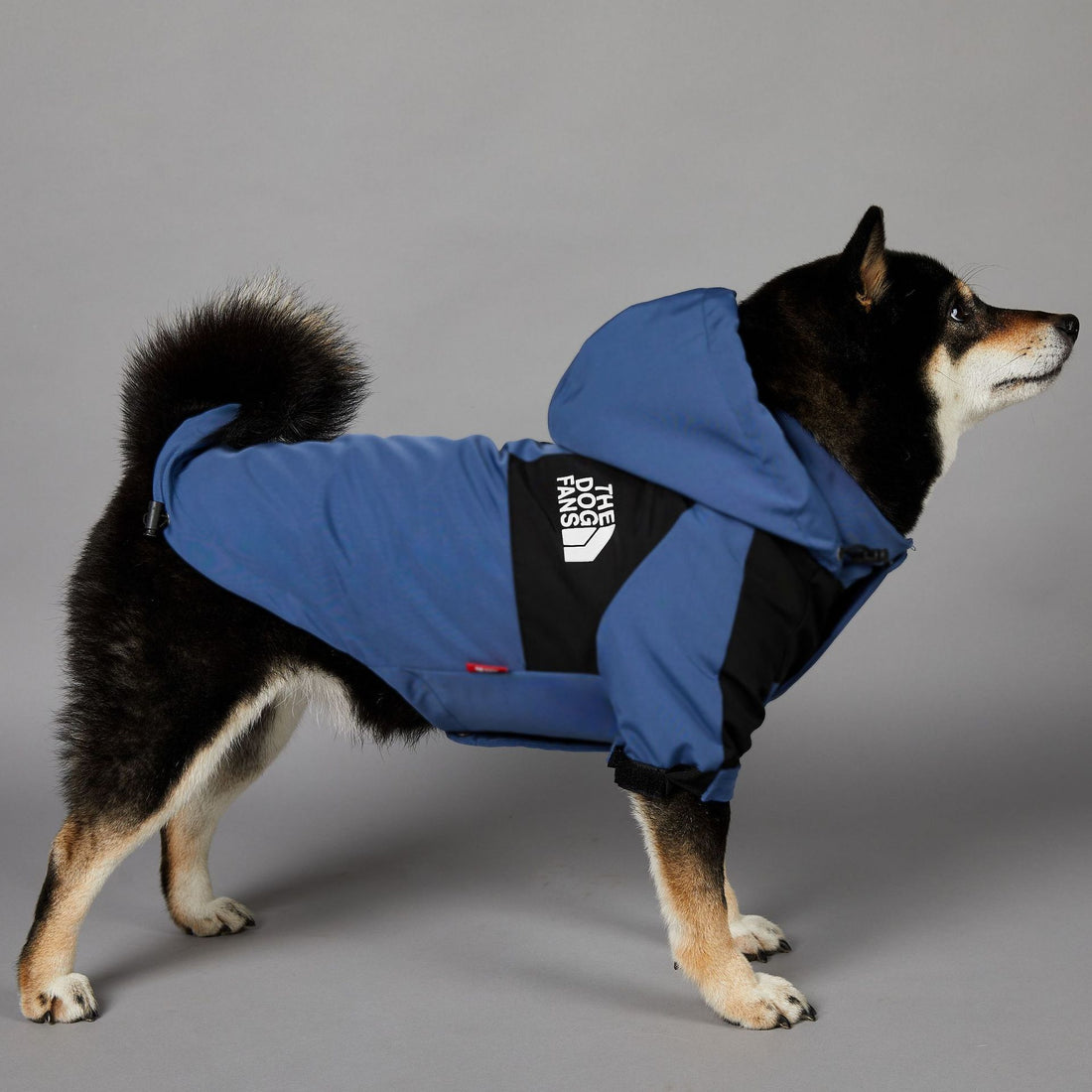 Windproof Pet Shell Jacket