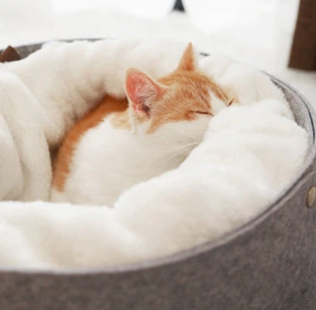 Comfortable Pet Bed
