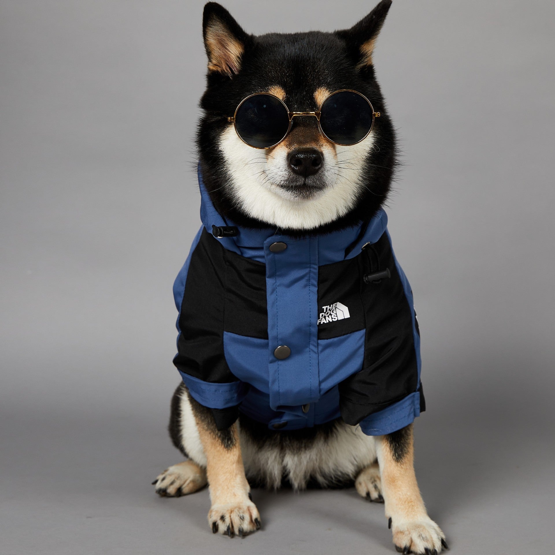 Windproof Pet Shell Jacket