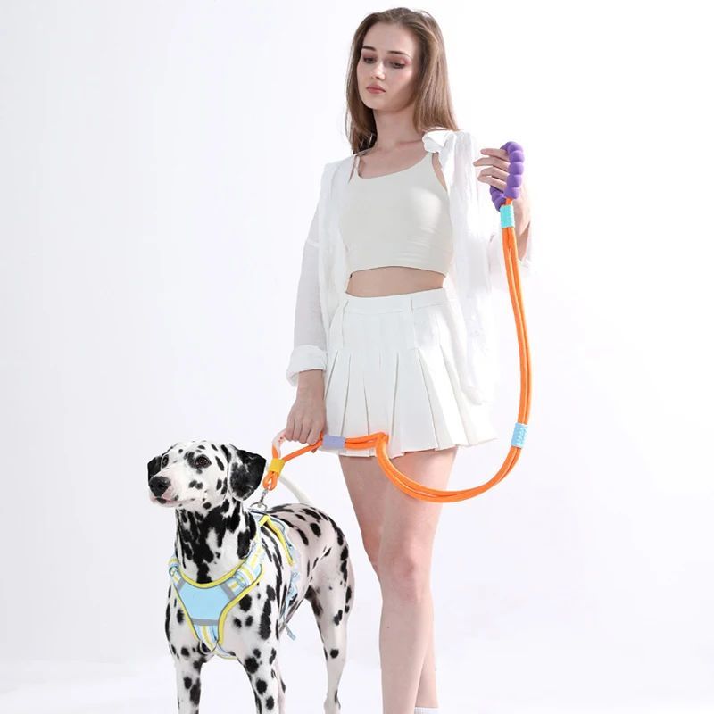 Versatile Pet Traction Leash