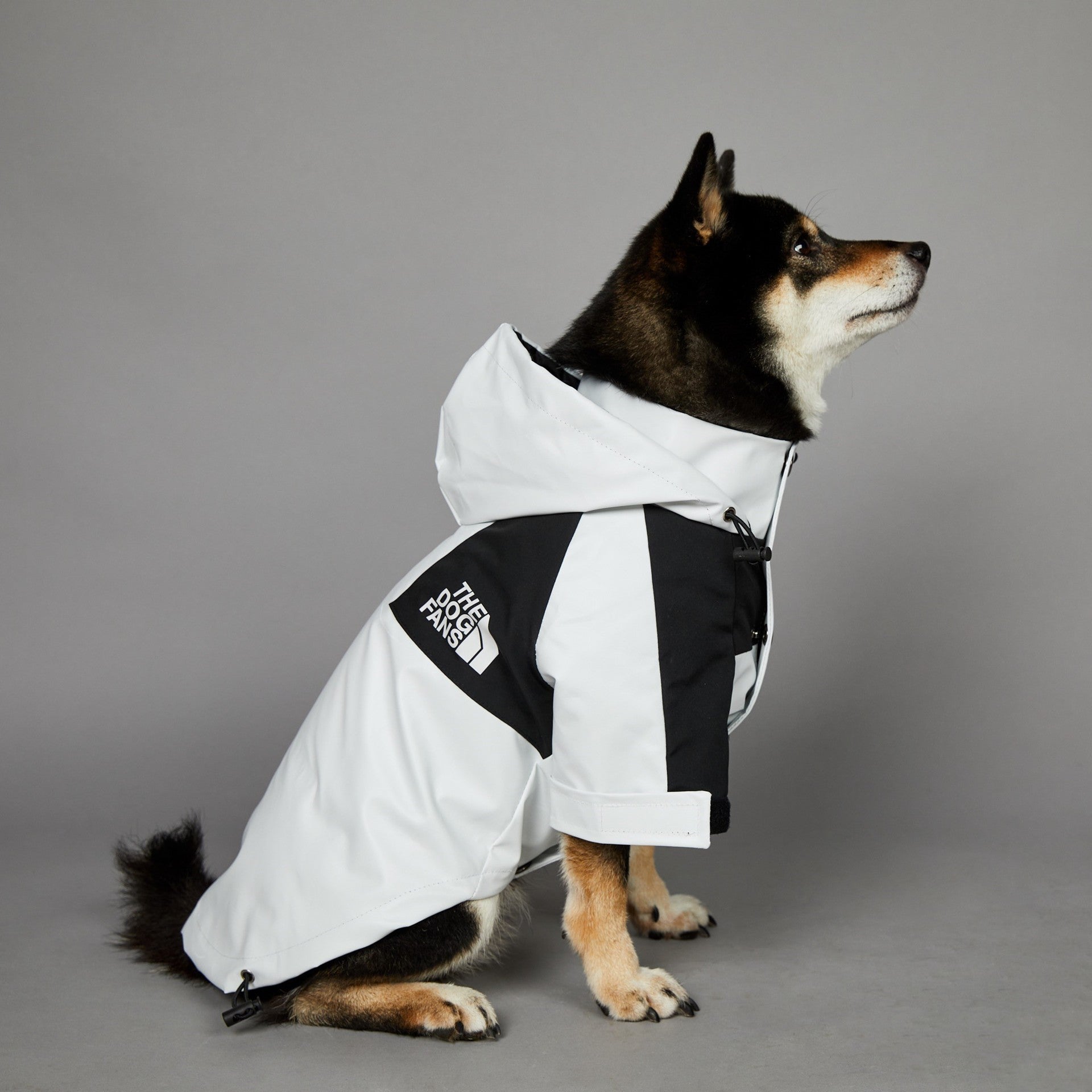 Windproof And Rainproof Large Dog Jacket