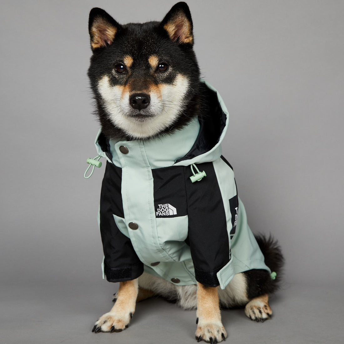 Windproof And Rainproof Large Dog Jacket