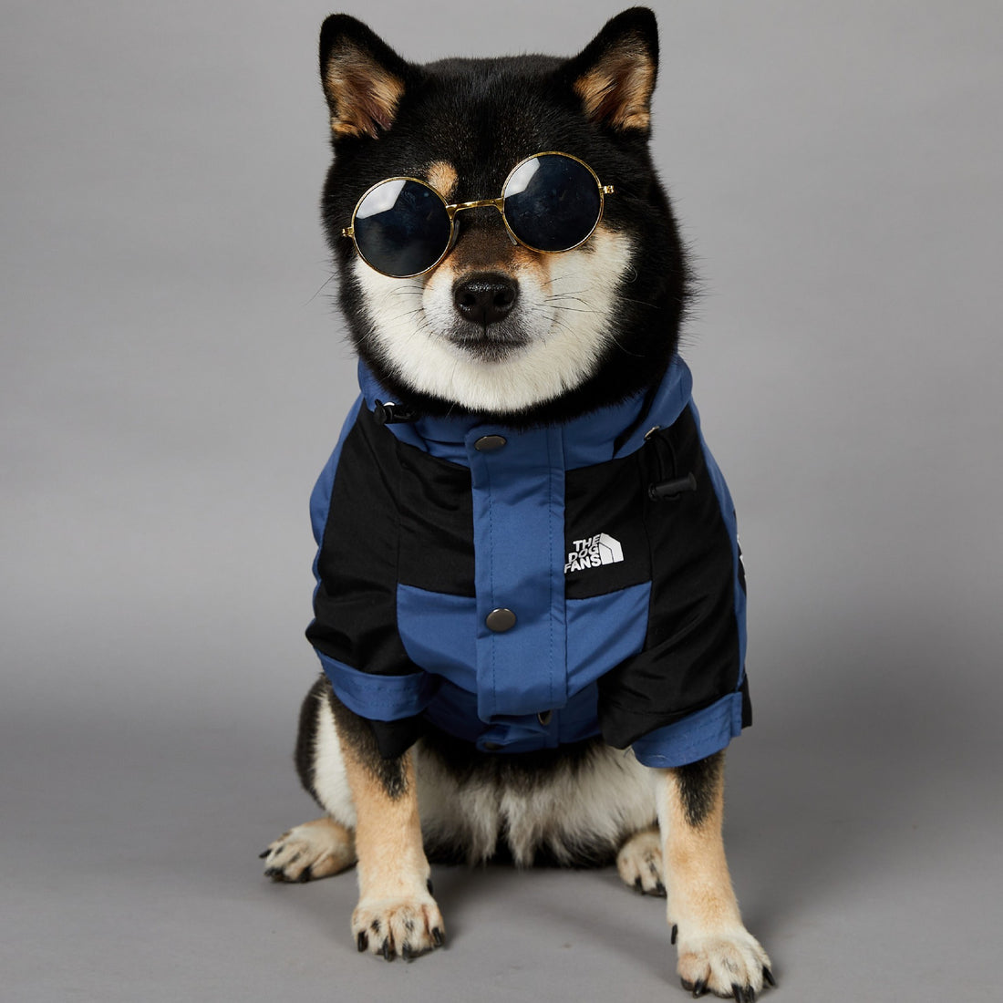 Windproof Pet Shell Jacket