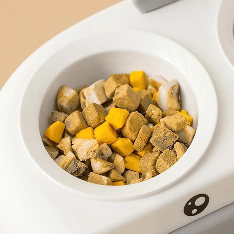 Pet Double Bowl