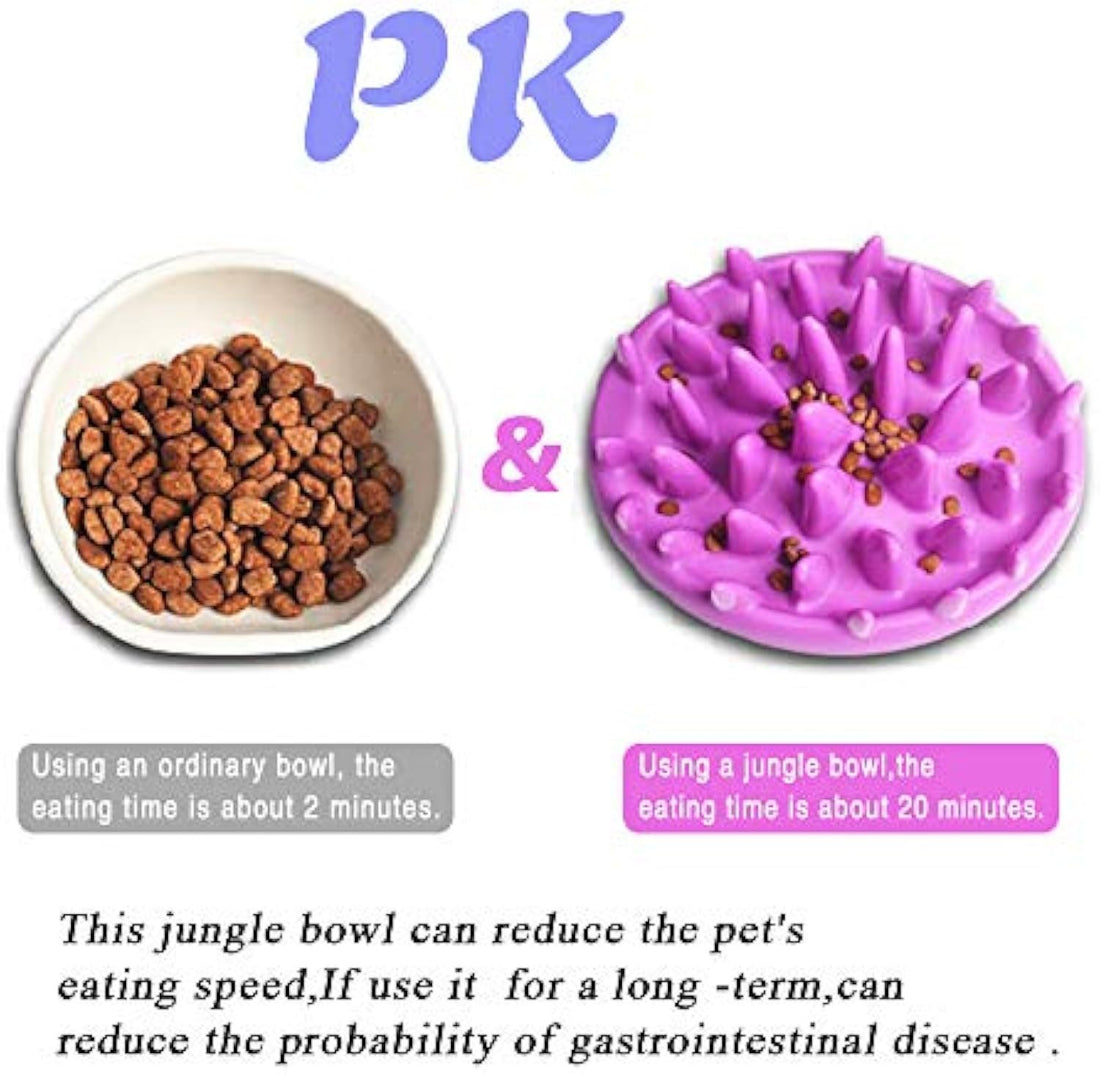 Cat Slow Feeder Bowl