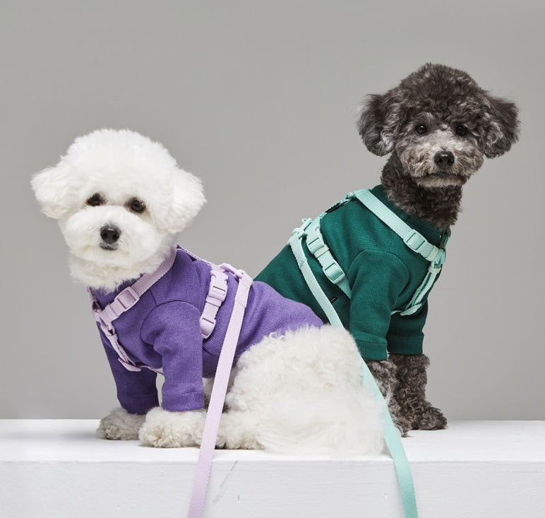 Pet Leash Macaron Ins Wind