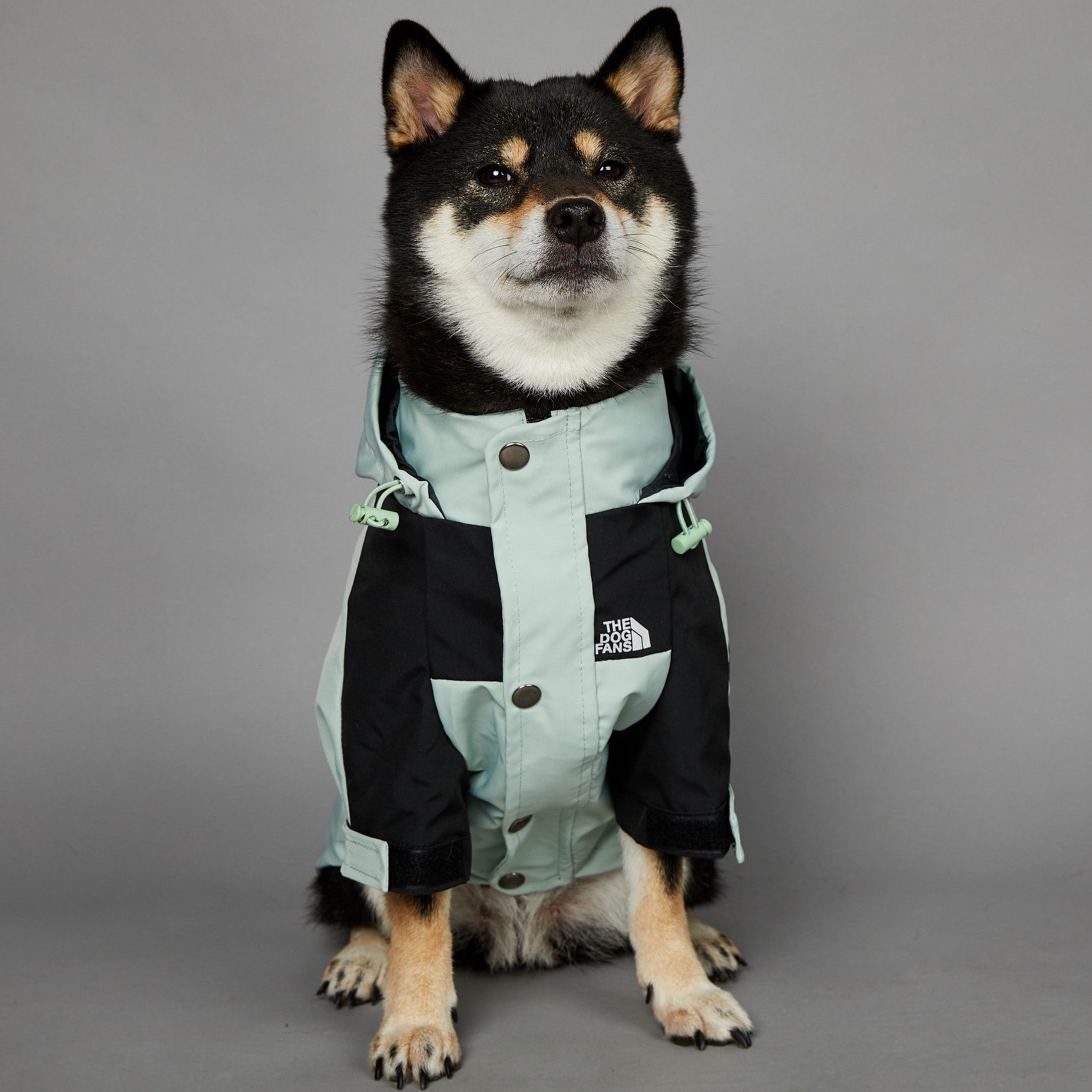 Windproof And Rainproof Large Dog Jacket