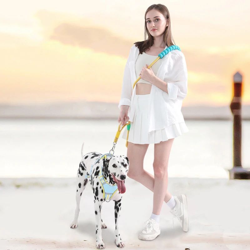 Versatile Pet Traction Leash