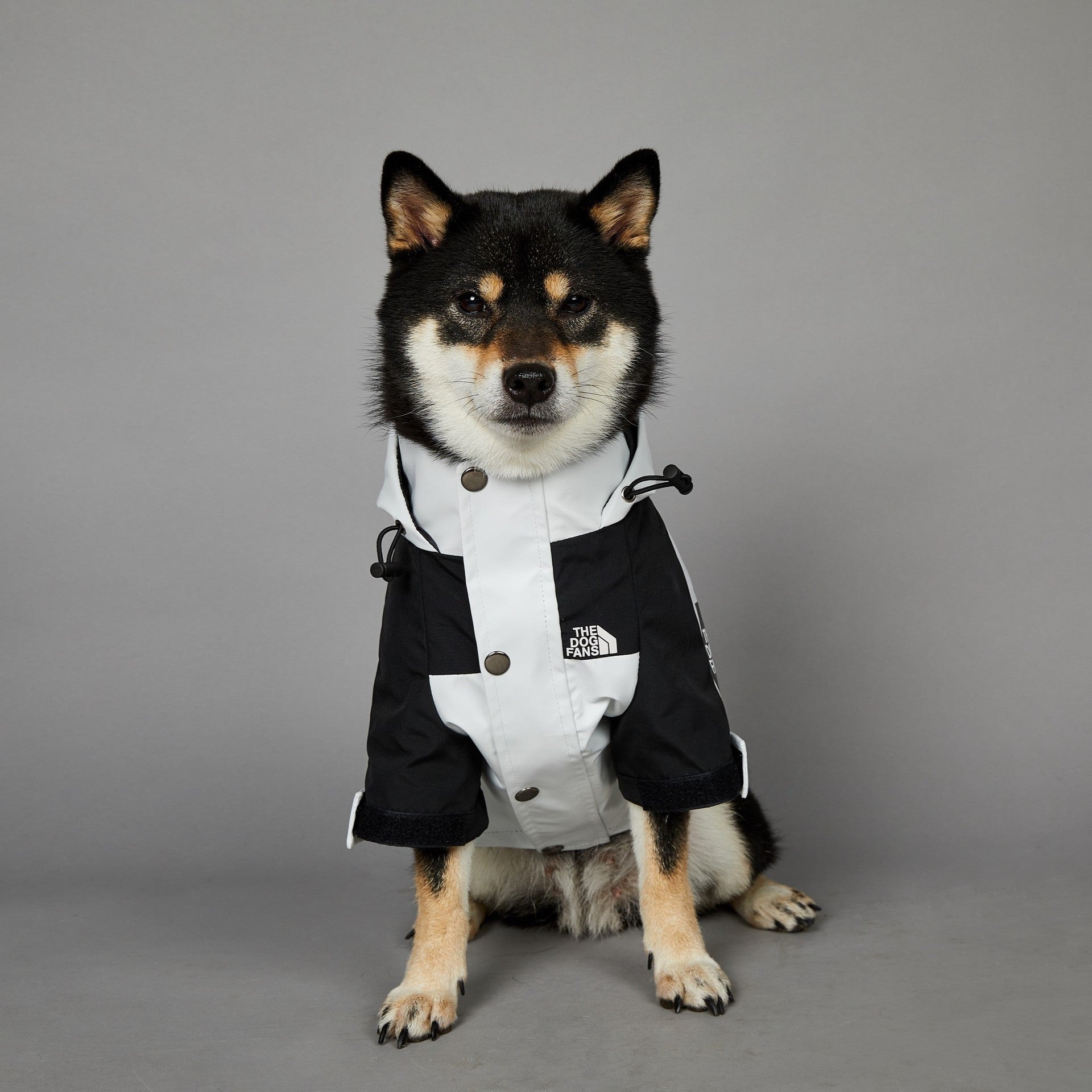 Windproof And Rainproof Large Dog Jacket