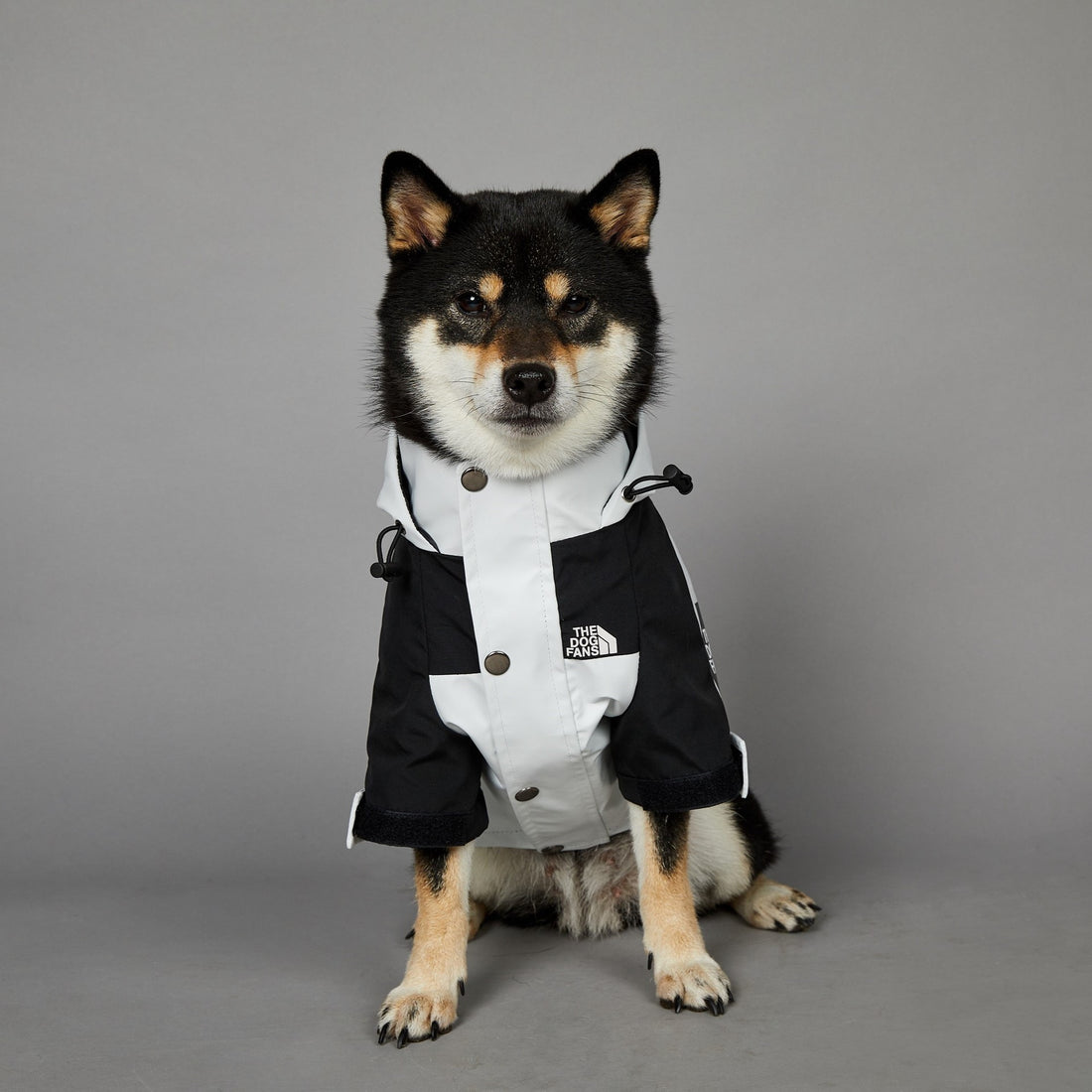 Windproof And Rainproof Large Dog Jacket