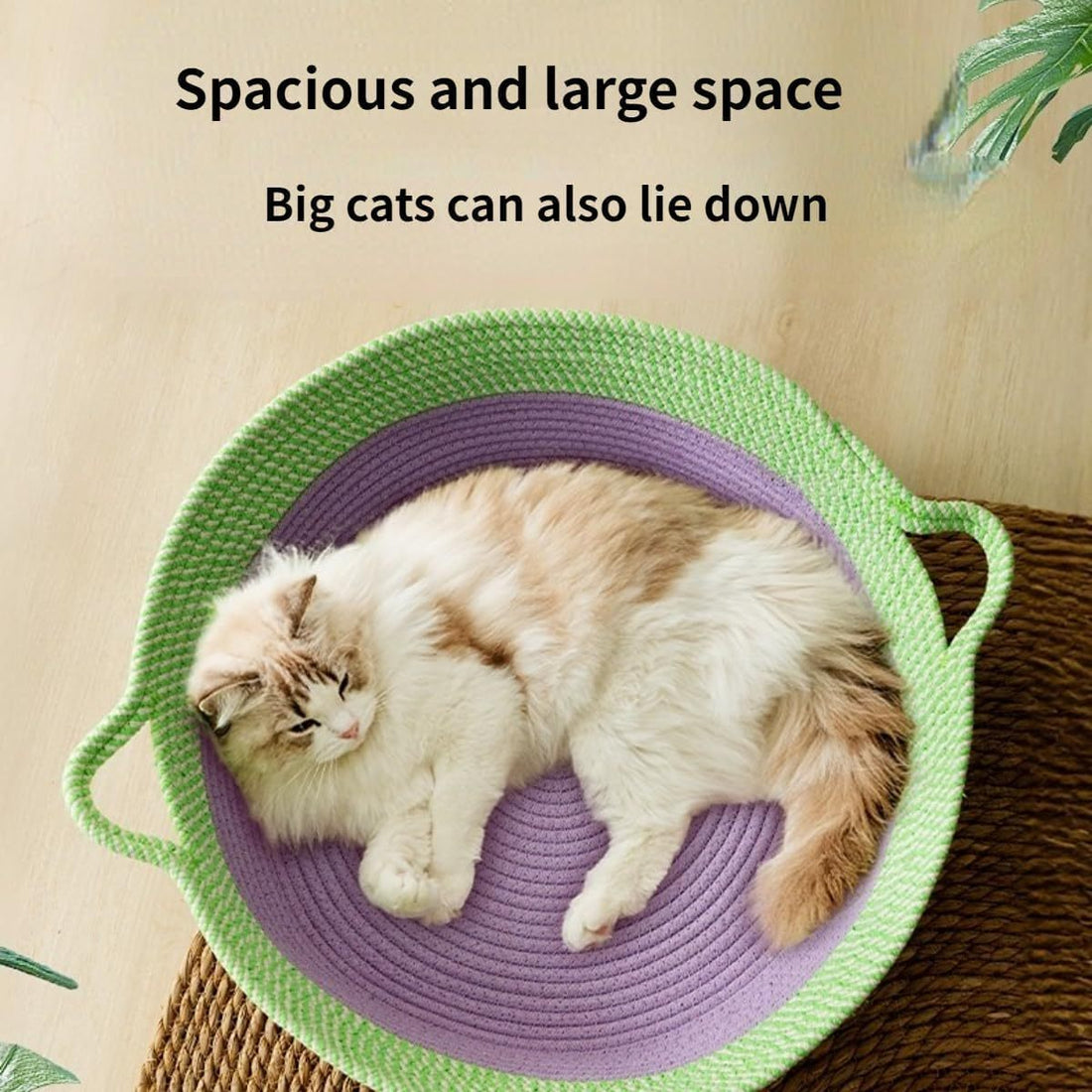 Scratch Cat Bed For Indoor Cat