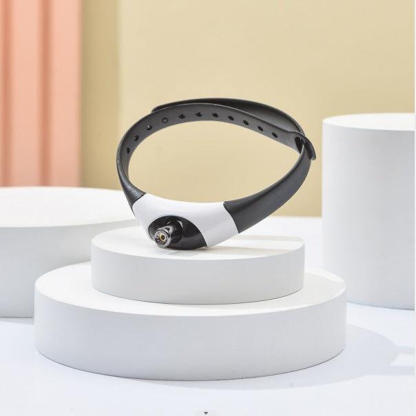 Pet Cat Toy Laser Collar Leash