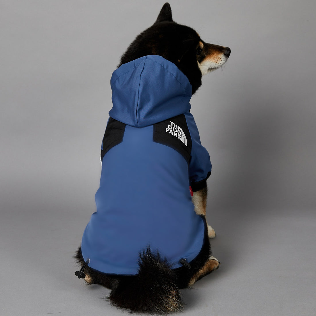 Windproof Pet Shell Jacket