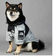 Windproof And Rainproof Large Dog Jacket