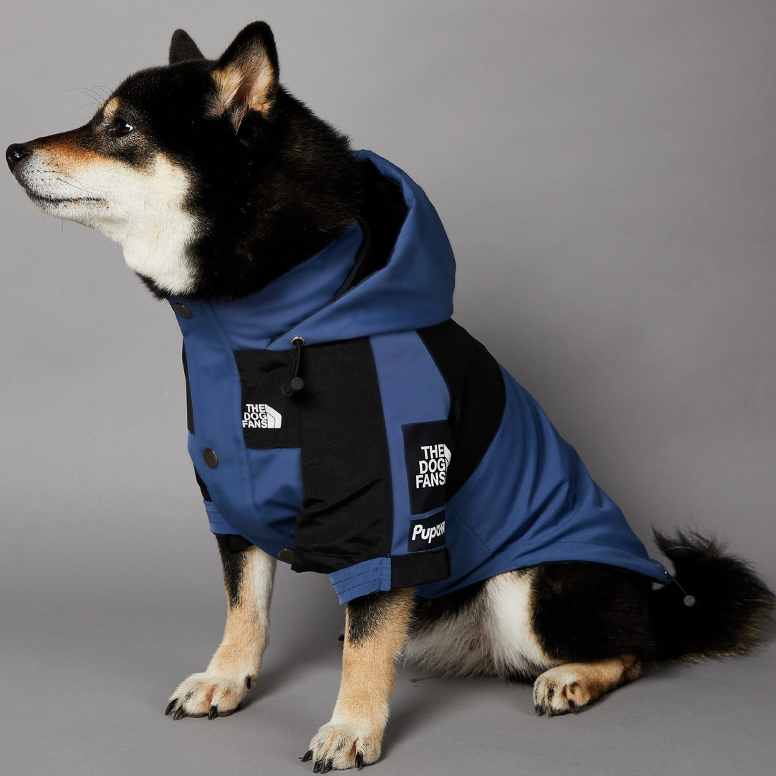 Windproof Pet Shell Jacket