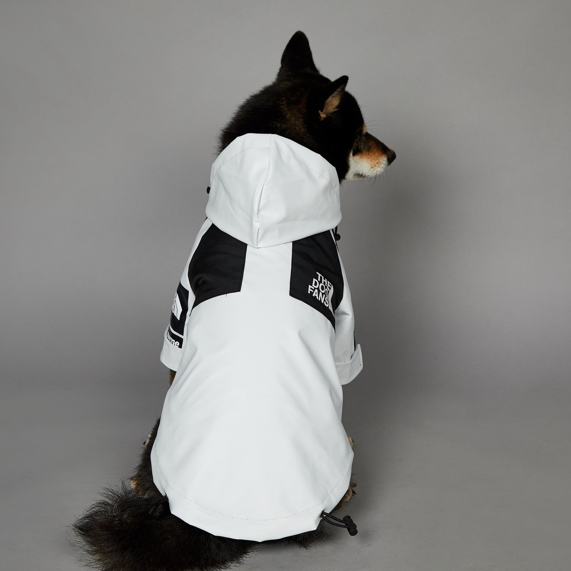 Windproof And Rainproof Large Dog Jacket