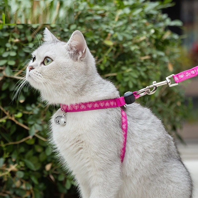 Pet Bell Chest Strap Teddy Leash