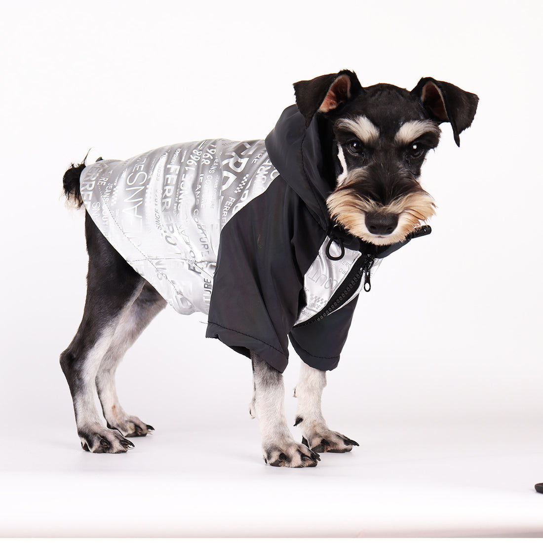 Dog Poker Jacket