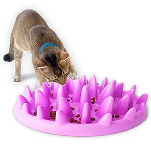 Cat Slow Feeder Bowl